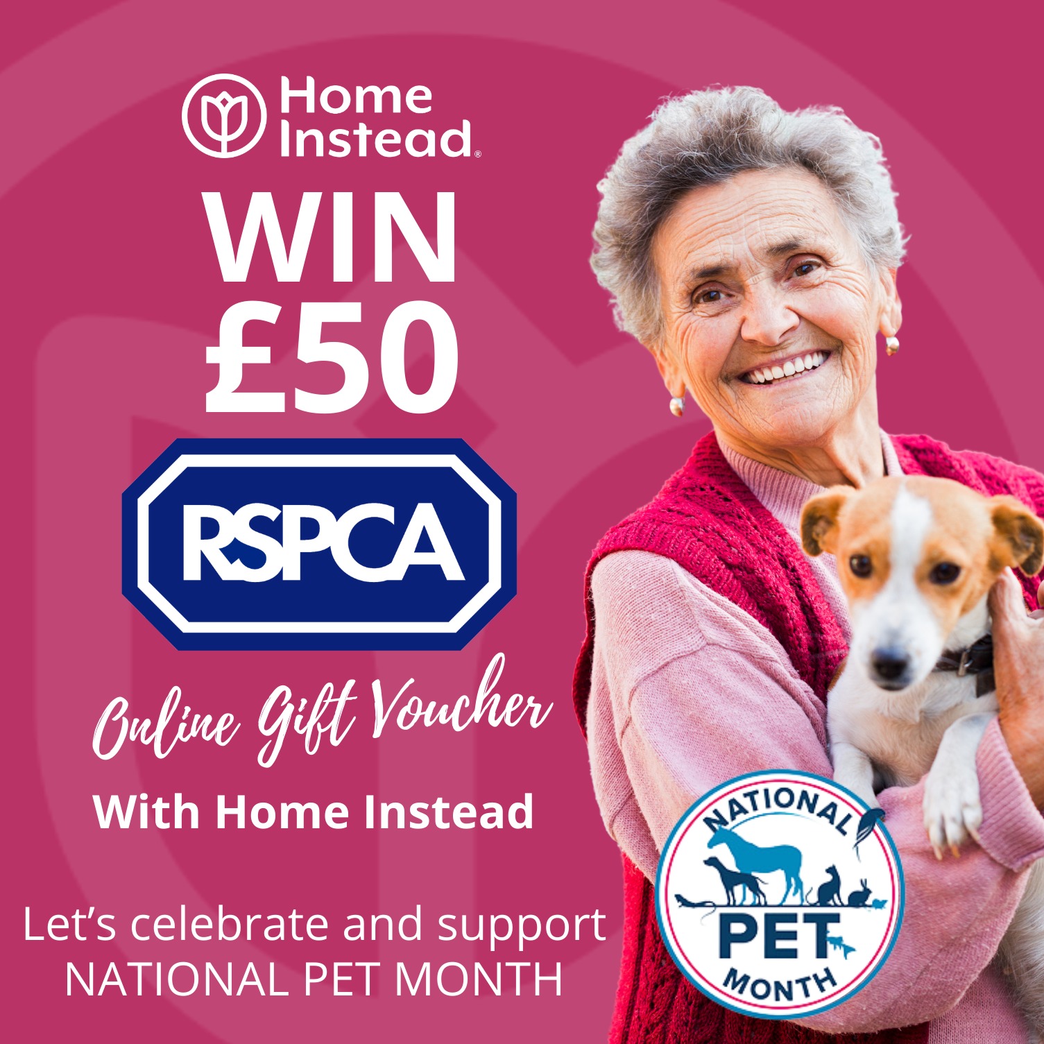 Win! £50 voucher to spend online with the RSPCA Exeter and East Devon